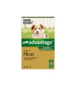 Advantage Green for Small Dog 2026 _v2123 - Image 4